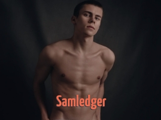 Samledger