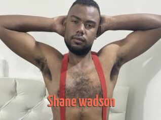 Shane_wadson