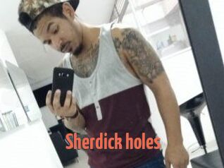 Sherdick_holes