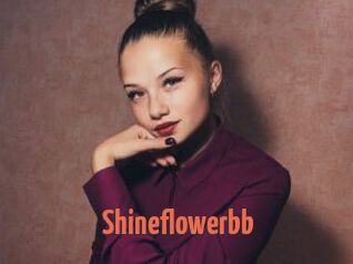 Shineflowerbb