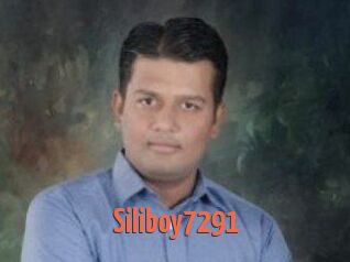 Siliboy7291