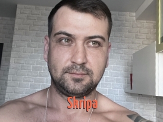 Skripa