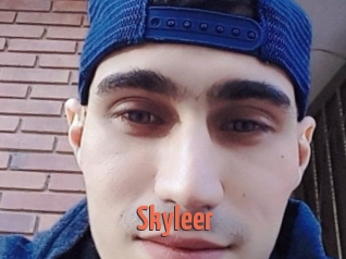 Skyleer