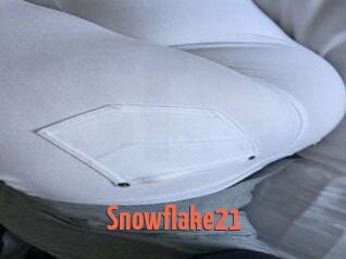 Snowflake21