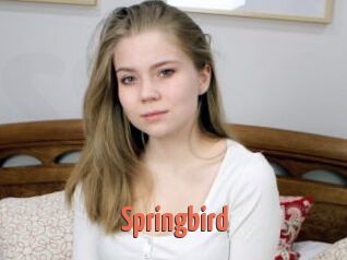 Springbird