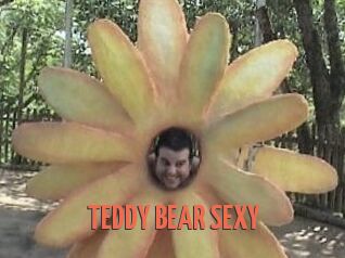 TEDDY_BEAR_SEXY
