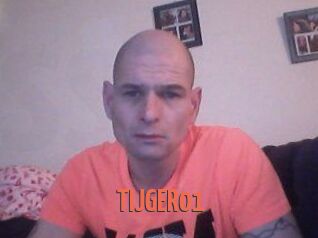 TIJGER01