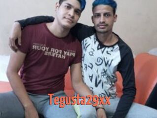 Tegusta29xx