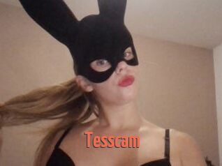 Tesscam