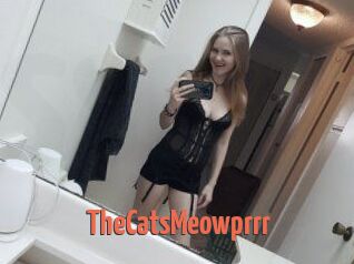 TheCatsMeowprrr