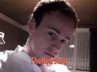 TheNewStud