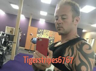 Tigerstripes6767