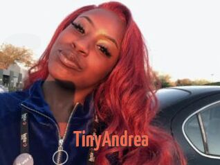 TinyAndrea