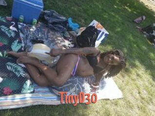 TinyD30
