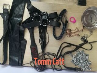 Tomm_Catt