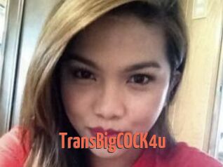 TransBigCOCK4u