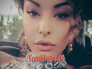 Trouble3449