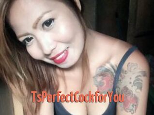 TsPerfectCockforYou