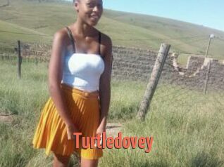Turtledovey