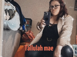 Tallulah_mae