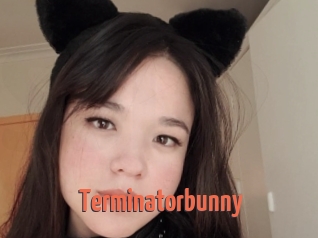 Terminatorbunny