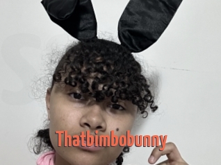 Thatbimbobunny