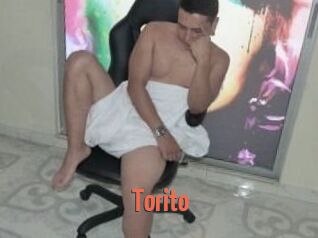 Torito