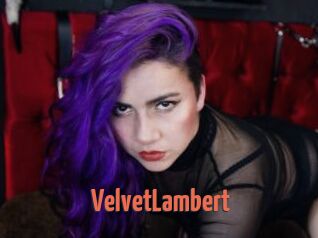 VelvetLambert