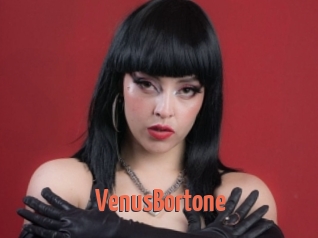 VenusBortone