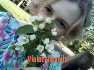 ViolaCamomile