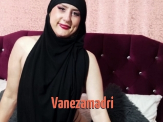 Vanezamadri