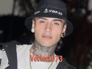 Vectorx073