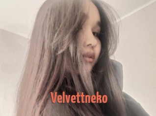 Velvettneko