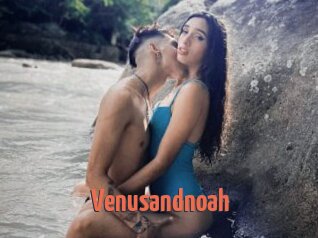 Venusandnoah