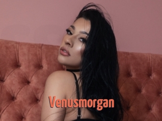 Venusmorgan