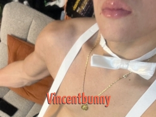 Vincentbunny