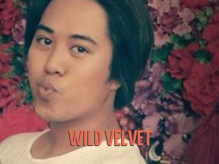 WILD_VELVET
