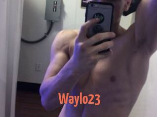 Waylo23
