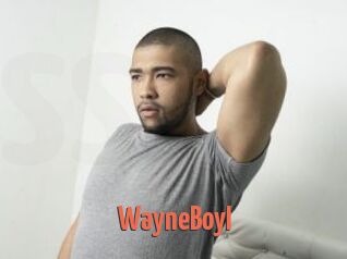 WayneBoyI