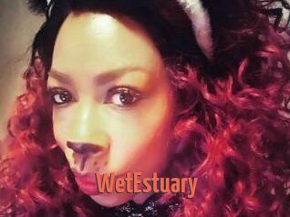 WetEstuary