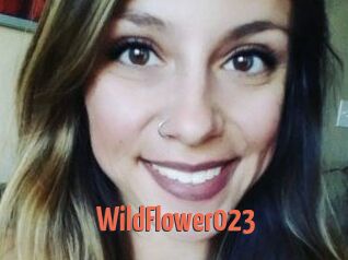 WildFlower023