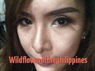 Wildflowerofthephilippines