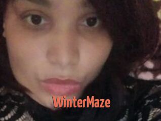 Winter_Maze