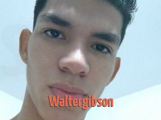 Waltergibson
