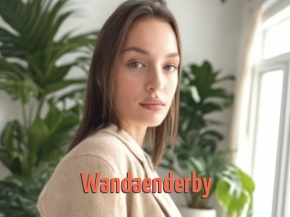 Wandaenderby