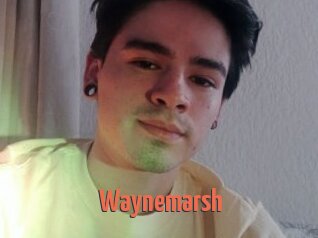 Waynemarsh