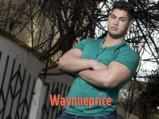 Waynneprice