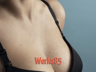Werka85