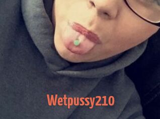 Wetpussy210