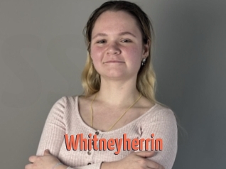 Whitneyherrin